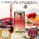 【ふるさと納税】プレミアム缶ワイン 赤 300ml 12本入 モンデ酒造 缶ワイン 赤ワイン ワイン 果実酒 酒 お酒 飲用カップ付き 晩酌 宅飲み 家飲み キャンプ BBQ バーベキュー パーティー 中口 山梨県産 マスカットベーリーA ぶどう 山梨県 笛吹市 25000円 177-4-017