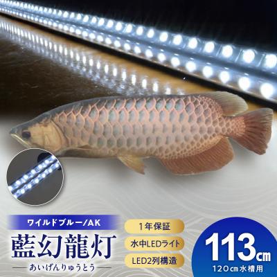 ふるさと納税 小牧市 一瞬で綺麗に魅せる!金龍の青を最大限に強調する水中LEDライト|AK120-EX[172C18]