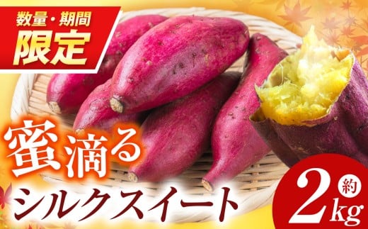【先行予約】【数量・期間限定】 蜜滴るシルクスイート2キロ（栽培期間中は農薬・化学肥料不使用）| シルクスイート さつまいも 化学肥料不使用 蜜たっぷり 甘いさつまいも 自然栽培 山の恵み ぽりっぽファーム 奈良県 御杖村