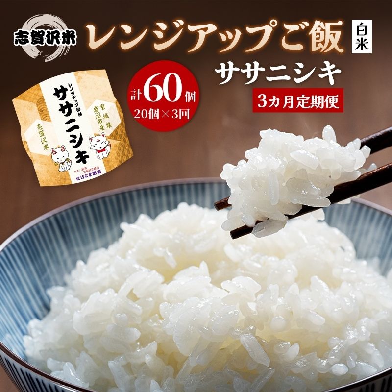 【ふるさと納税】【令和7年産】3ヵ月定期便ササニシキ志賀沢米レンジアップごはん12個セット お米 米 精米 パックごはん 岩沼市 志賀産
