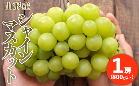 ぷりぷりの大房シャインマスカット 1房(800g以上) 【令和8年産先行予約】FU20-466 くだもの 果物 フルーツ 山形 山形県 山形市 2026年産