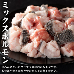 上場高原和牛 ミックスホルモン 750g 牛肉 ホルモン 【スーパーよしだ】 i1157