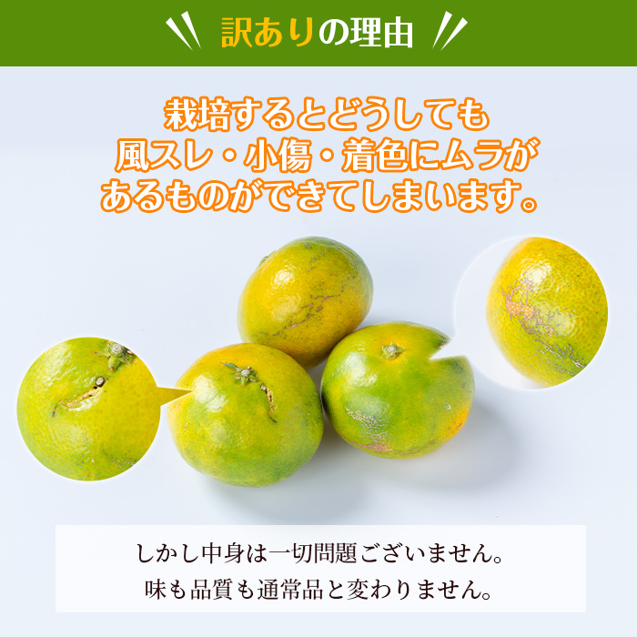 i1170 《訳あり！数量・期間限定》鹿児島みかん（極早生系・約5kg） みかん 蜜柑 ミカン 柑橘 極早生 10kg 果物 フルーツ 果実 国産 鹿児島 訳あり 【江崎果樹園】