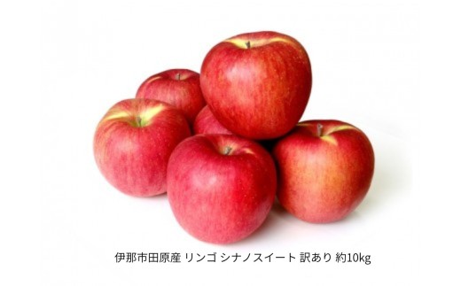 伊那市田原産 リンゴ シナノスイート 訳あり 約10kg｜りんご シナノスイート 甘い 訳あり品 美味しい フルーツ 田原 伊那 伊那産 長野県 ふるさと納税【019-23】