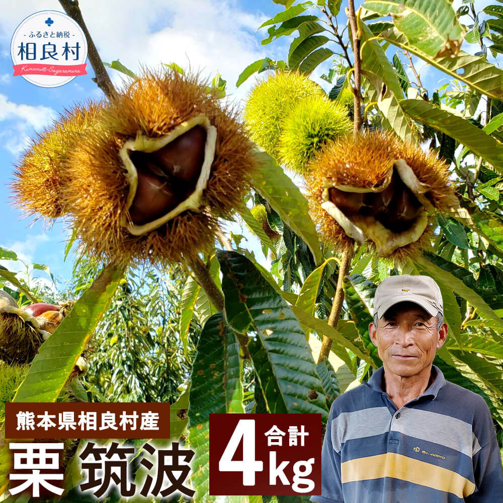 【ふるさと納税】＜予約＞栗 筑波 4kg 2kg×2袋 【2025年9月下旬発送開始】 クリ くり 旬 渋皮煮 九州産 熊本県産 相良村産 果物 フルーツ 予約 冷蔵配送 送料無料
