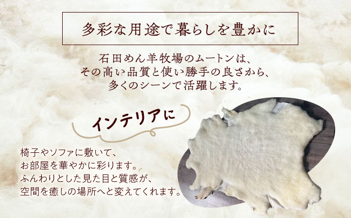 ミルクラム ムートン 約60〜80cm《足寄町》【石田めん羊牧場】ムートン 羊 羊毛 天然素材 高級 インテリア マット ベビー用 赤ちゃん ペット用 ペット 介護用 あしょろ 北海道 [BEAD00