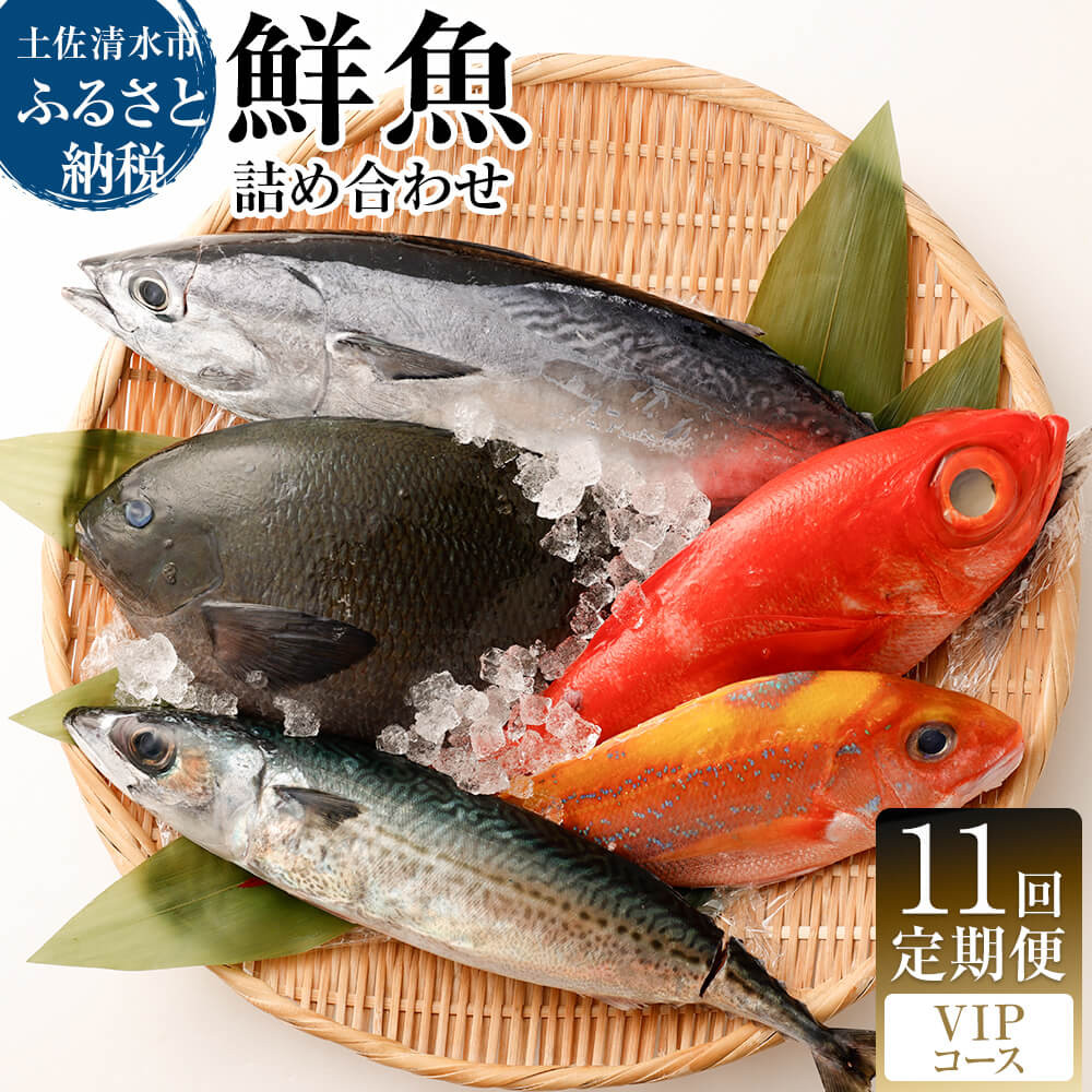 
                  <11回定期便> 季節の鮮魚 おまかせお楽しみセット （ＶＩＰコース）鮮魚 ボックス 詰め合わせ 天然魚 食べ比べ 魚介類 海鮮料理 魚 新鮮 刺し身  お楽しみ 定期便 11ヶ月 高知 【J00056】
                