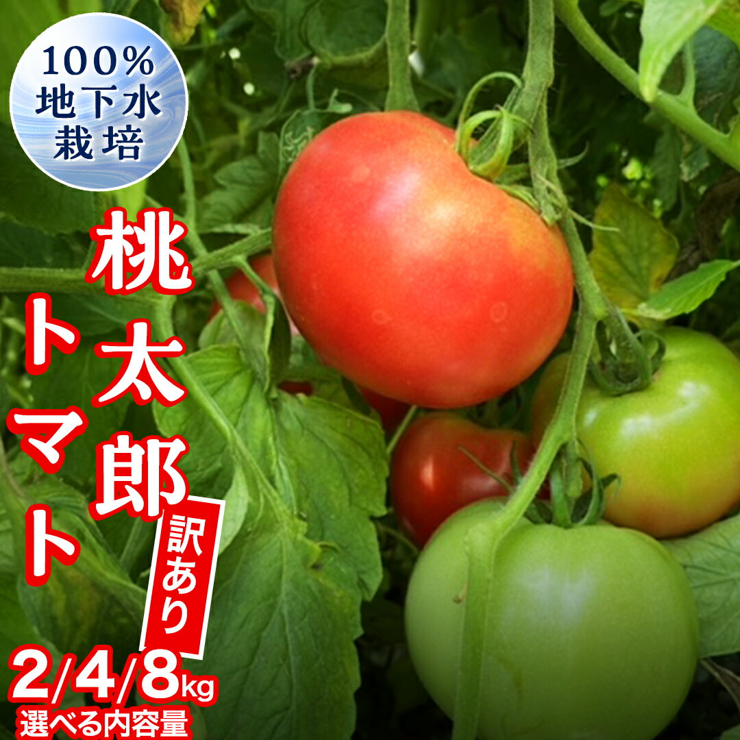 【ふるさと納税】 【 訳あり 】 地下水100％で作る美味しい 「 桃太郎トマト 」 ( 選べる 内容量 ) 2kg 4kg 8kg 野菜 桃太郎 トマト とまと 地下水 ミネラル