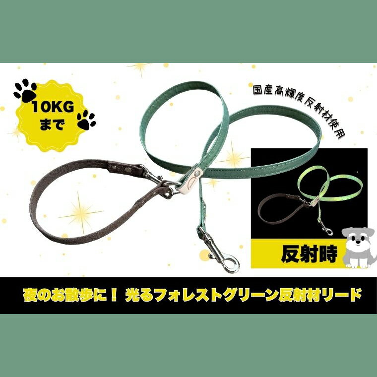 【ふるさと納税】『ギラギラ・フォレストグリーン』犬用光るリード/特注高輝度反射材使用【小型犬用10キロまで】｜散歩 愛犬 夜散歩 阿見町 茨城県（40-35）
