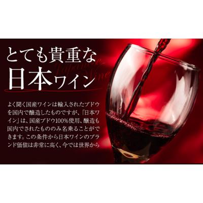 ふるさと納税 矢掛町 酒 日本ワイン 750ml 2本 矢掛放送 岡山県矢掛町《30日以内に出荷予定(土日祝除く)》 |  | 02