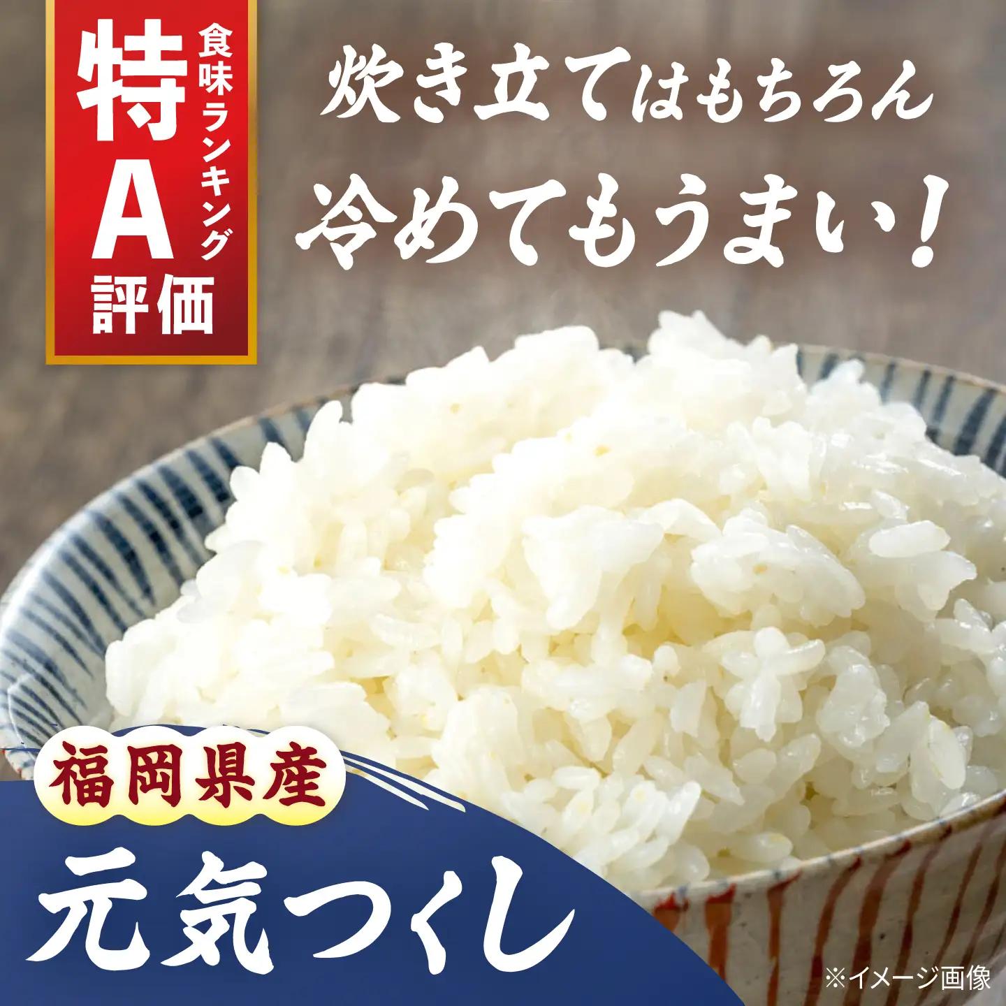 令和7年産 福岡県 元気つくし 5kg [BGBZ004]