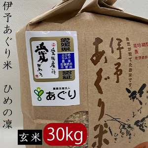 米 玄米 30kg 伊予あぐり米「ひめの凜」 令和7年産 米 農薬・化学肥料不使用 米 玄米 令和7年産 米 お米 こめ 農薬・化学肥料不使用 こだわりのお米 愛媛県 松前町 松前 まさき 愛媛 えひめ おこめ 有限会社あぐり 愛媛県産米 松前町産米 美味しいお米   お米 贈答 贈り物 愛媛県 松前町 有限会社あぐり 【AGR0040_30R7】
