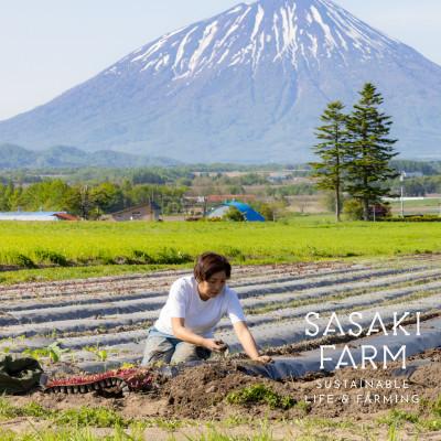 ふるさと納税 洞爺湖町 佐々木ファームよりお届けする旬の野菜詰め合わせ　〜ありがとうBOX 2025・大〜 |  | 02