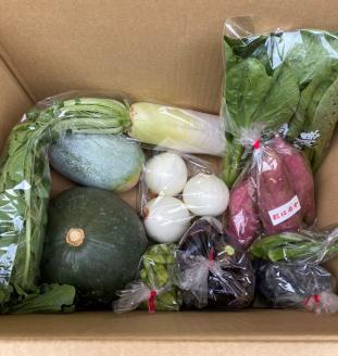 季節の野菜詰め合わせセット 約5kg 竜王町産