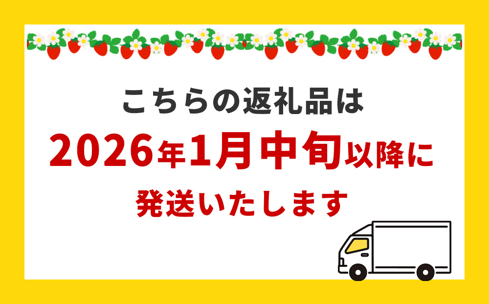 【2026年1月中旬発送開始】 いちご ちおとめ 恋みのり にこ