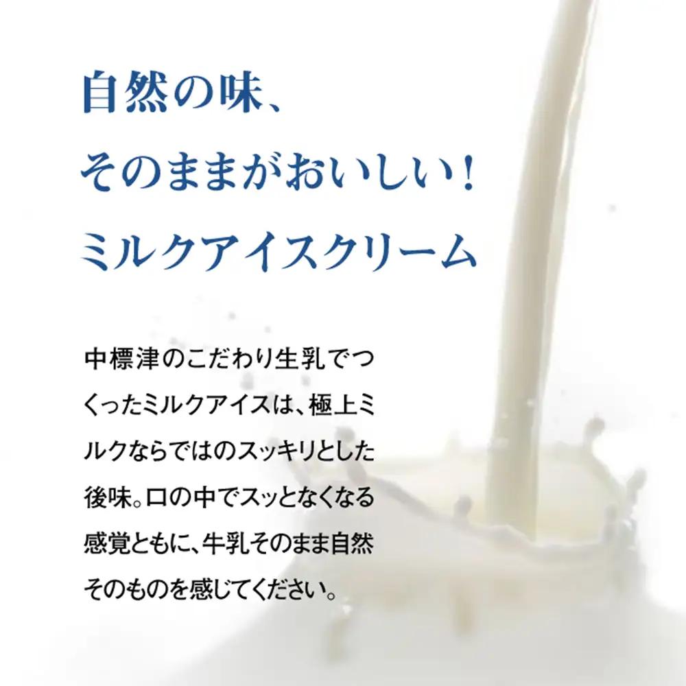 アイスクリーム10個(ミルク・紅茶・抹茶の3種)とフローズンヨーグルト×2個セット【1103903】