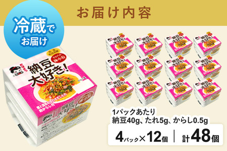 ヤマダフーズ 納豆大好きやわらか 極小粒 ミニ 4パック×12個（計48個）