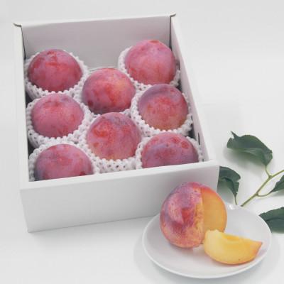 ふるさと納税 甲州市 甲州市産 すもも『貴陽』約1.8kg(化粧箱大玉7〜10玉) |  | 01