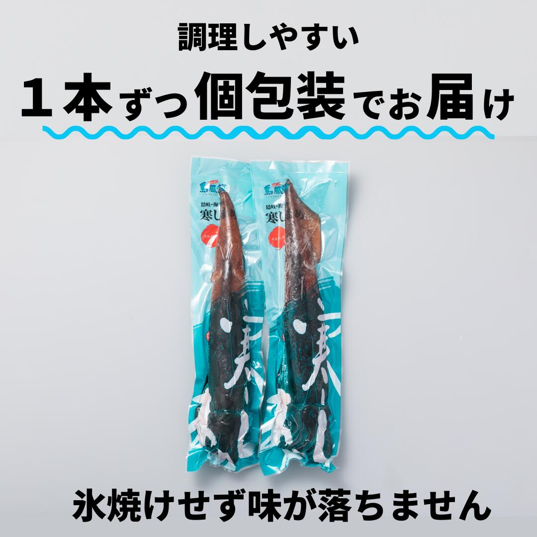 【のし付き】今が旬！朝どれ寒シマメ特大サイズ（350-400g）丸ごと3杯セット_イメージ5