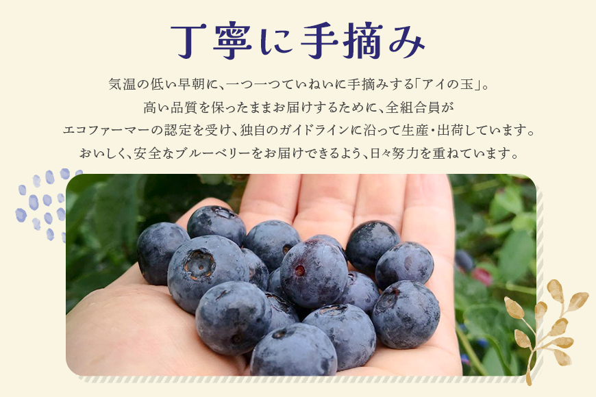 《数量限定・期間限定》 【アイの玉】毎日！朝摘み生ブルーベリー(2L) 73-A 【2025年6月15日より順次発送予定・7月31日に受付終了】