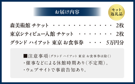 【六本木ヒルズ ペア体験】森美術館・東京シティビュー/グランド ハイアット 東京 食事券