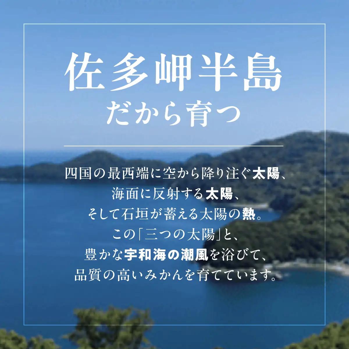 はるかジュース 720ml×1本 IKTBN010 