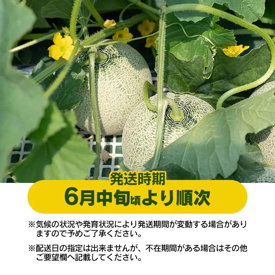 アンデスメロン (3～5玉) 秀品 4L～2L 令和9年産 K-939　JA鶴岡
