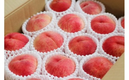 No.2027ふくしまの桃 約5kg 定期便 3回【2025年 先行予約】 