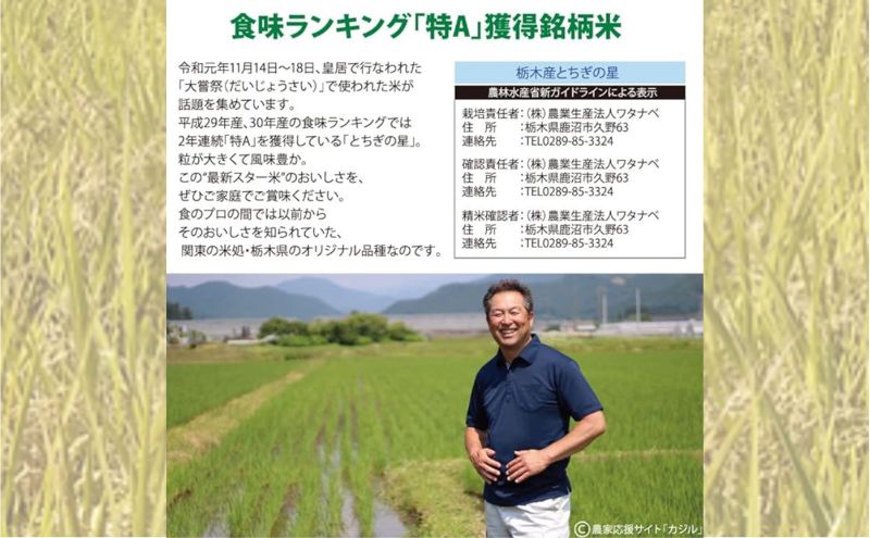 栃木県鹿沼市産 とちぎの星 無洗米 5kg 令和6年産 水稲うるち精米 単一原料米 お米  特A 大粒