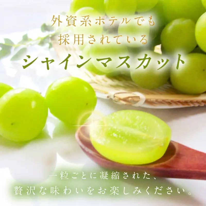 【先行予約】樹上完熟 シャインマスカット 500g（1房）（2026年9月中旬～発送）