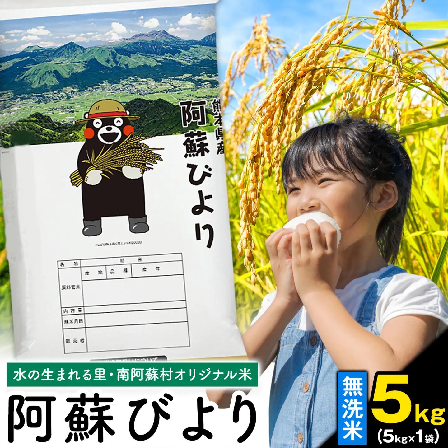 熊本県産 無洗米 阿蘇びより 5kg 無洗