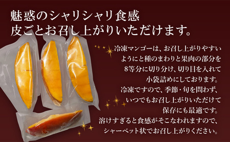 《2025年発送先行予約》【期間・数量限定】おがたのマンゴー 宮崎完熟冷凍マンゴー 1玉分(600g以上) 贈答品 小分けパック 冷凍 マンゴー 贈答