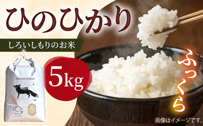 
            【令和7年10月以降発送】【令和7年度産】しろいしもりのお米 ひのひかり 5kg【Sunrise328】米 お米 [ICD011]
          