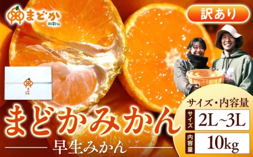 
                  ［先行予約］［訳あり］秋採れみかん（早生みかん）2L〜3Lサイズ混合 10kg＋500g（傷み補償分）［2025年11月上旬より発送］
                