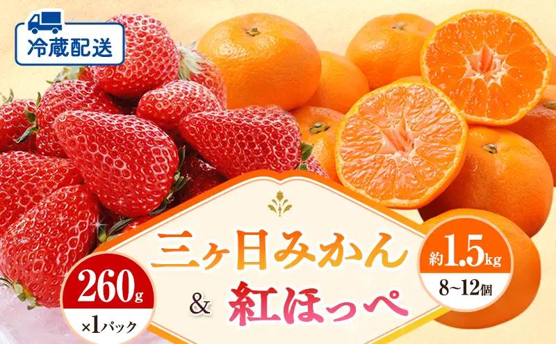 いちご フルーツセット 紅ほっぺ 1パック 三ヶ日みかん いちご