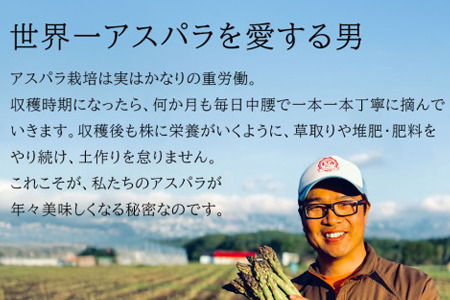 【令和9年産先行予約】アスパラガス  訳あり 1kg 定期便 3回便 北海道 美瑛町 ラスノーブル アスパラ