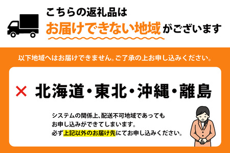 【期間限定発送】岩牡蠣 殻付き 細島 岩ガキ 約3.5kg