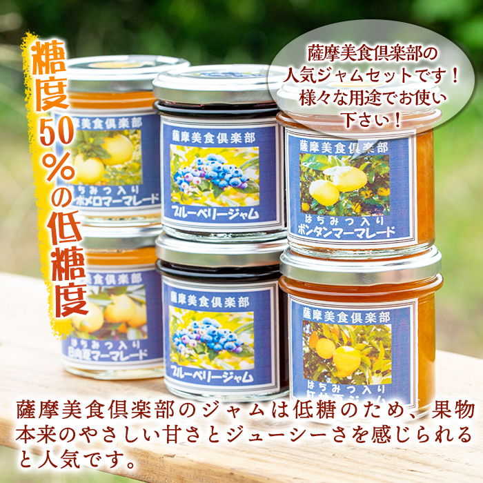 isa476 《数量限定》5種のバラエティージャム食べ比べセット(計6個・ブルーベリー×2、紅甘夏、ボンタン、サワーポメロ、日向夏) 加工食品 果物 フルーツ 詰め合わせ 果肉 柑橘  低糖 ハンドメ
