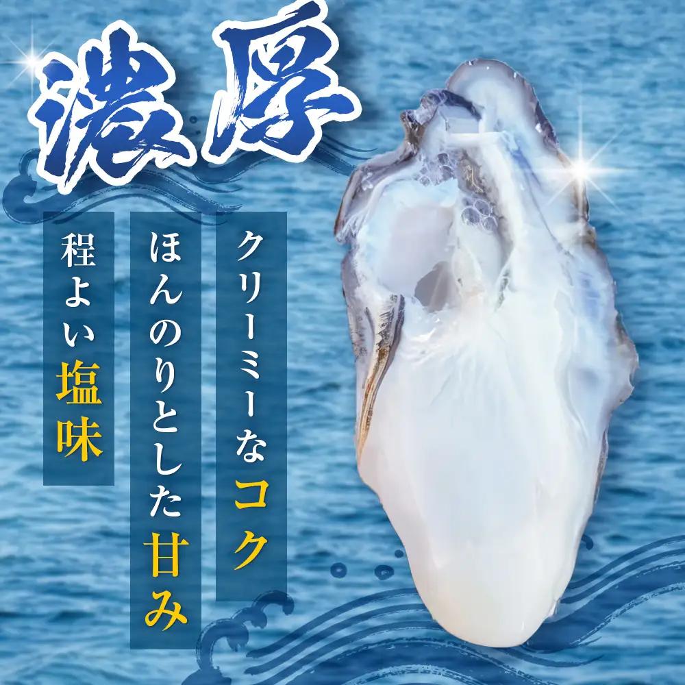 牡蠣 宮城県産 選別済み 3kg 加熱用 真牡蠣 かき カキ 貝 貝類 海産物 魚介類 海鮮 冷凍 宮城県 宮城 石巻市 石巻