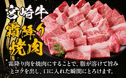 宮崎牛霜降り焼肉 宮崎牛 牛肉 焼肉