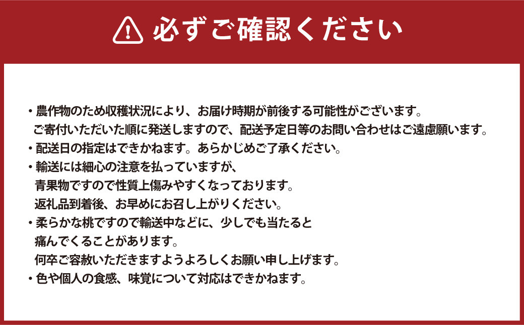 ご家庭用 岡山白桃 晩生 4～5玉  計1.2kg