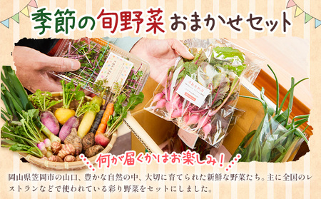 季節の旬野菜 おまかせセット 6種 1回 （農薬・化学肥料不使用）オルタッリャ 《45日以内に出荷予定(土日祝除く)》【配送不可地域あり】