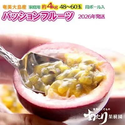 2026年発送【あたり果樹園】奄美パッションフルーツ 家庭用 約4kg 果物  フルーツ
