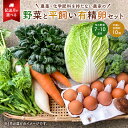 【ふるさと納税】【配送月が選べる】 農薬・化学肥料を持たない農家の野菜（7〜10種類）と 平飼有精卵のセット 千葉県 南房総市 旬 指定野菜 卵 加工品 果物 蒟蒻 味噌 露地栽培 自家栽培 鶏卵 農業 農家 キャベツ きゅうり さといも 大根 送料無料