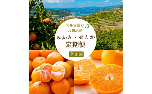 ＜発送月固定定期便＞＜訳あり＞みかん大玉8kg×みかん7kg×せとか3kg＜H25-280＞全3回【4071369】