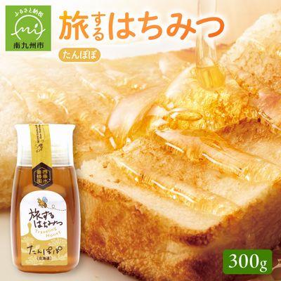 ふるさと納税 南九州市 旅するはちみつ300g【たんぽぽ蜂蜜】