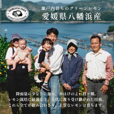 ふるさと納税 八幡浜市 【皮が薄くて種がない】愛媛グリーンレモン 3kg 愛媛県産【C70-50】 |  | 03