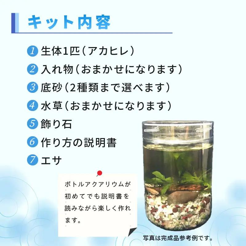 おうちで小さな水族館♪ ボトルアクア キット_BA6002n