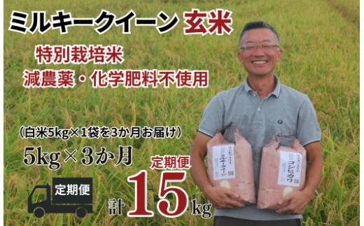 【ミルキークイーン 定期便 玄米 5kg✕3か月連続 松原グリーンファーム】 特別栽培米 ミルキークイーン 玄米 5kg （5kg×1袋） 3か月  合計 15kg  令和７年産 2025年産 小分け 単一米  減農薬 化学肥料不使用 埼玉県認証 埼玉県 川島町