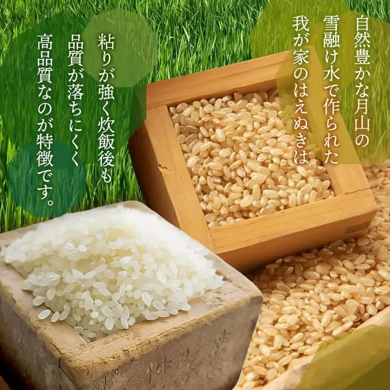 【令和8年産先行予約】 はえぬき　玄米（庄内米）　30kg×1袋　農家 長四郎